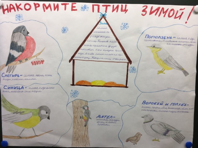 Проект «Помоги птицам зимой» 🐦